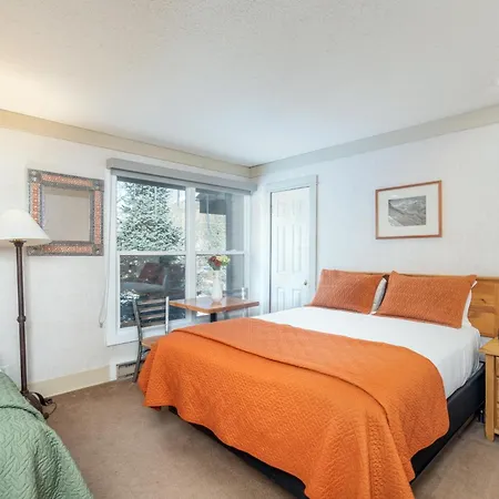 Mountainside Inn 117 By Alpine Lodging Telluride